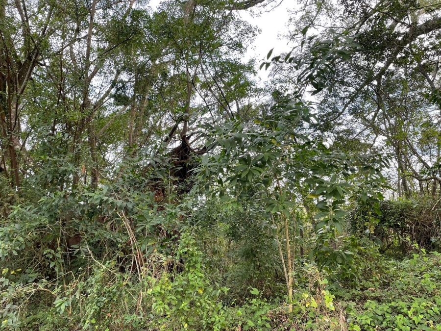 4 Bedroom Property for Sale in Bathurst Eastern Cape